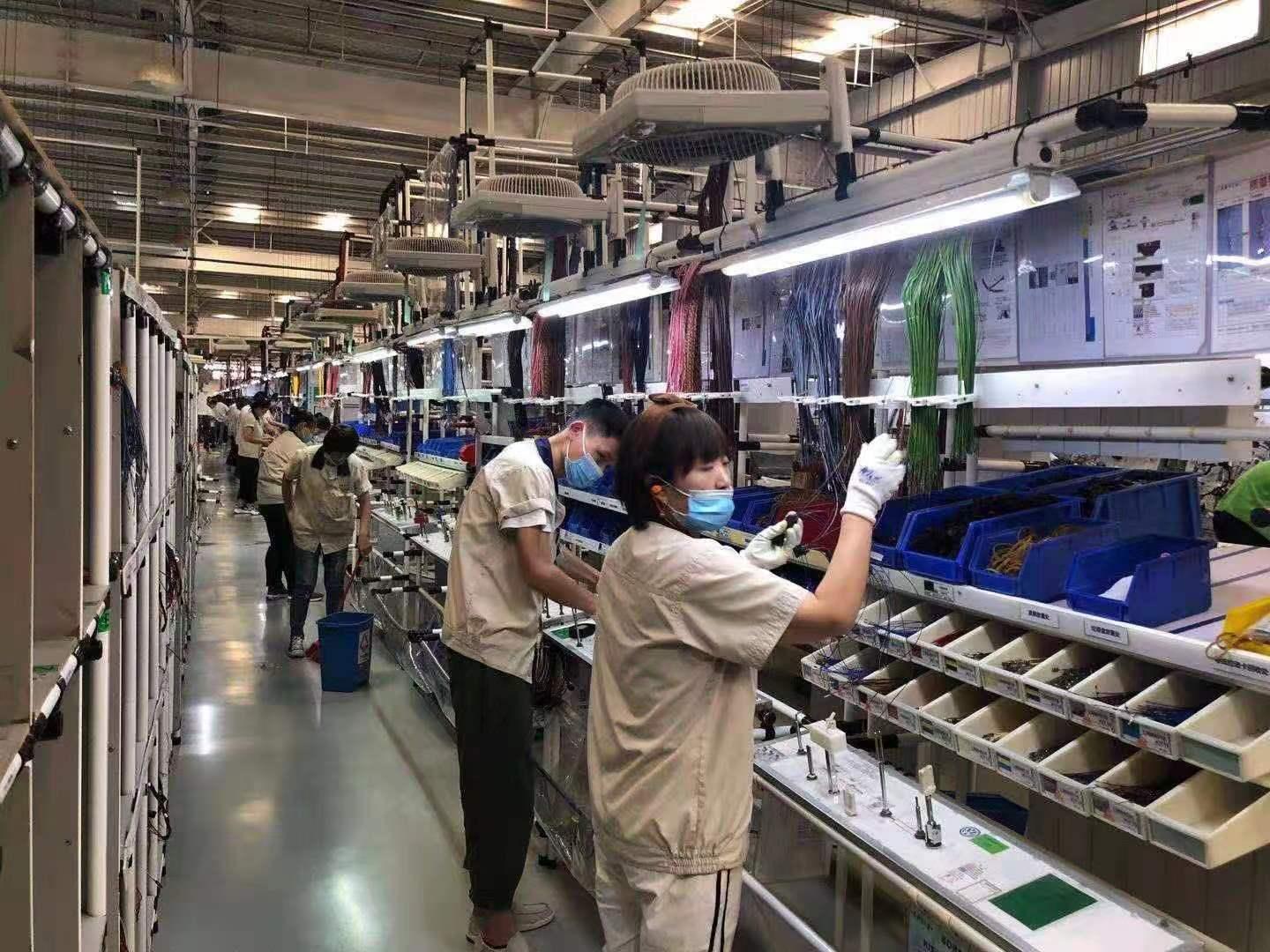 山东烟台安波福日结工岗位图片