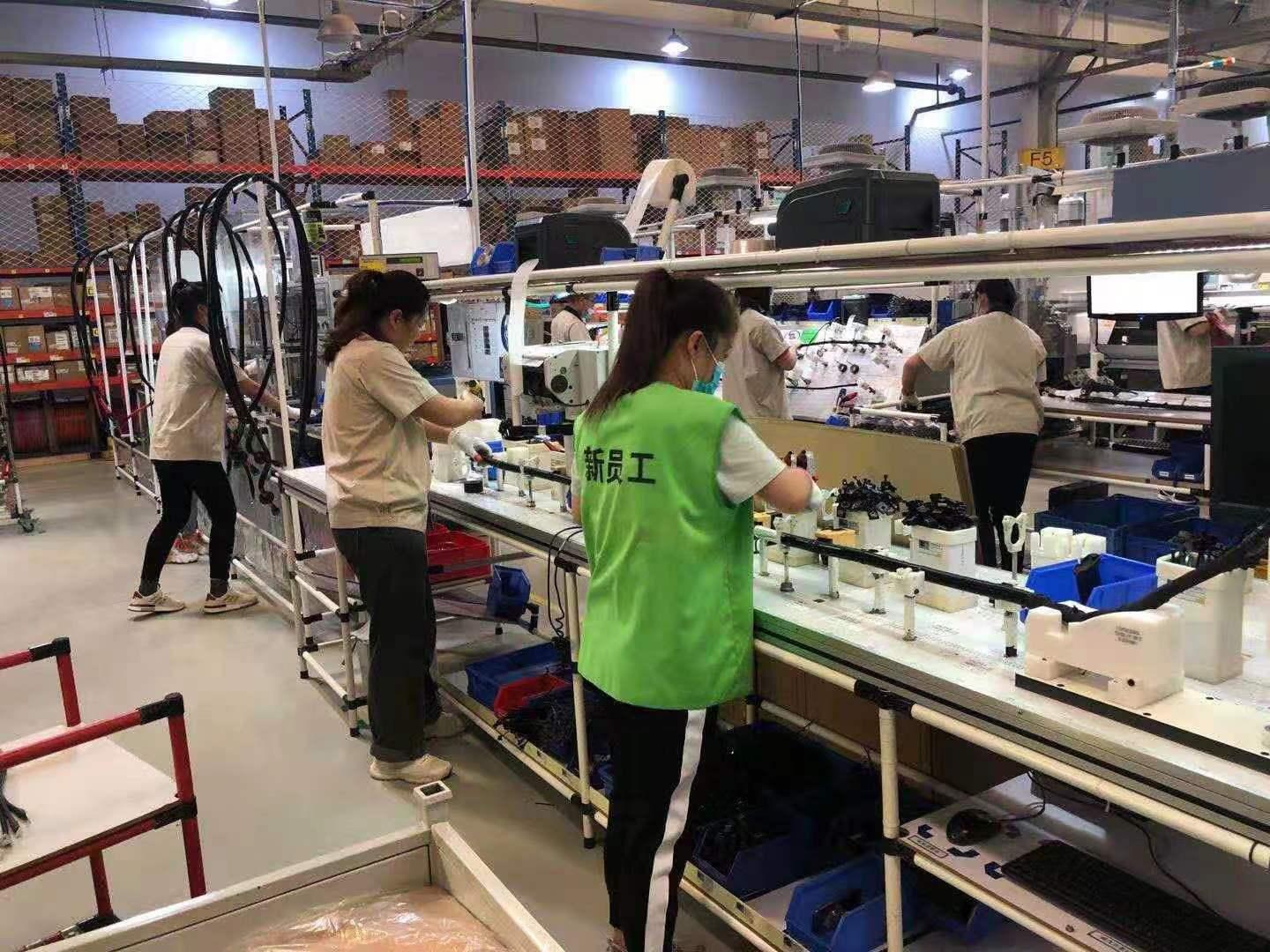 山东烟台安波福日结工岗位图片