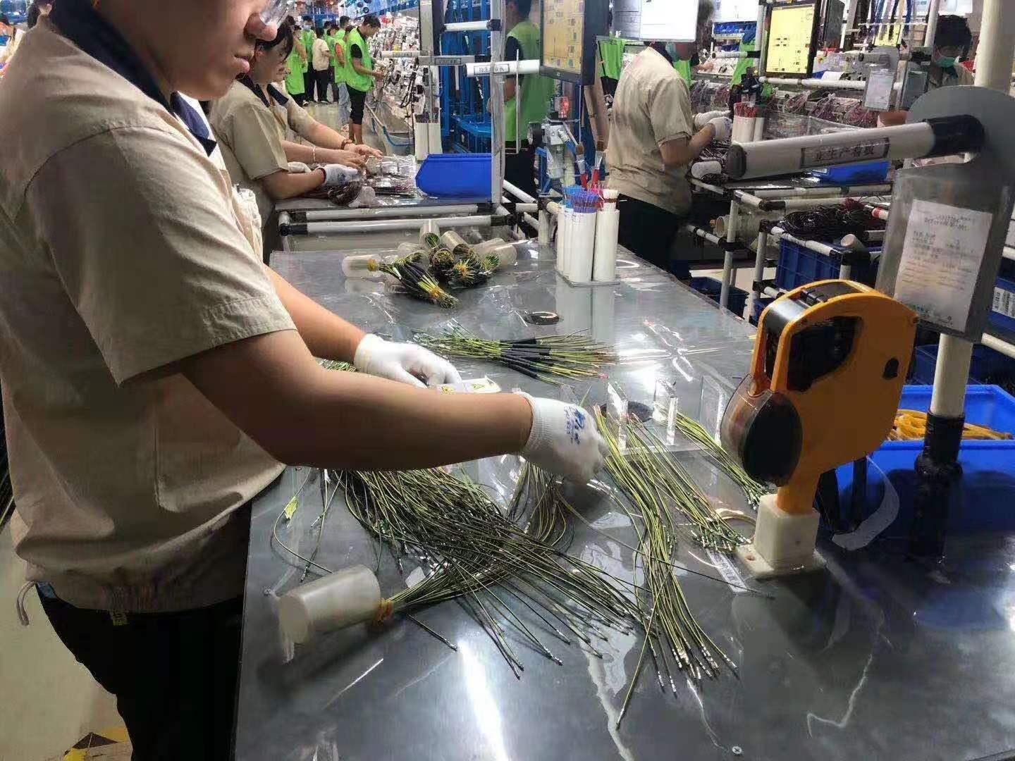 山东烟台安波福日结工岗位图片