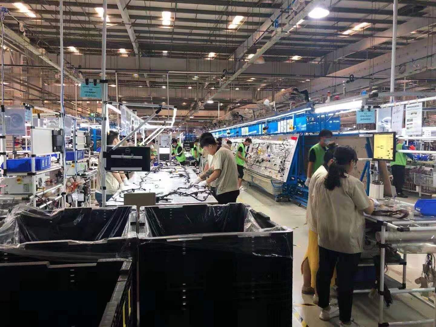 山东烟台安波福日结工岗位图片