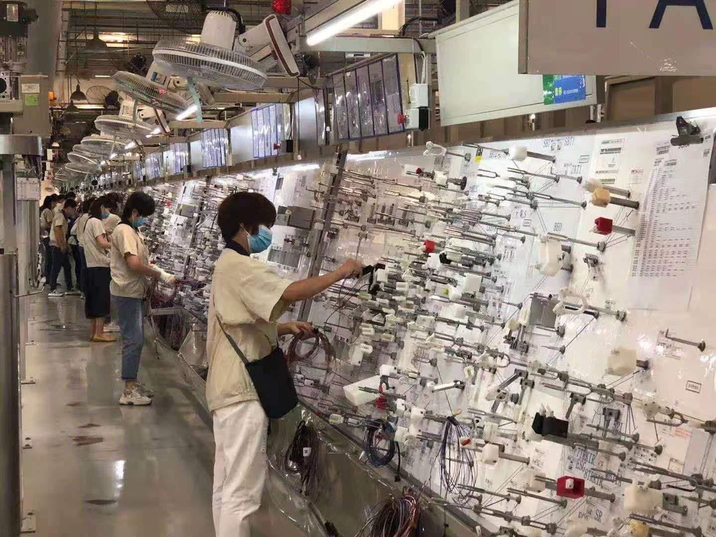 山东烟台安波福日结工岗位图片
