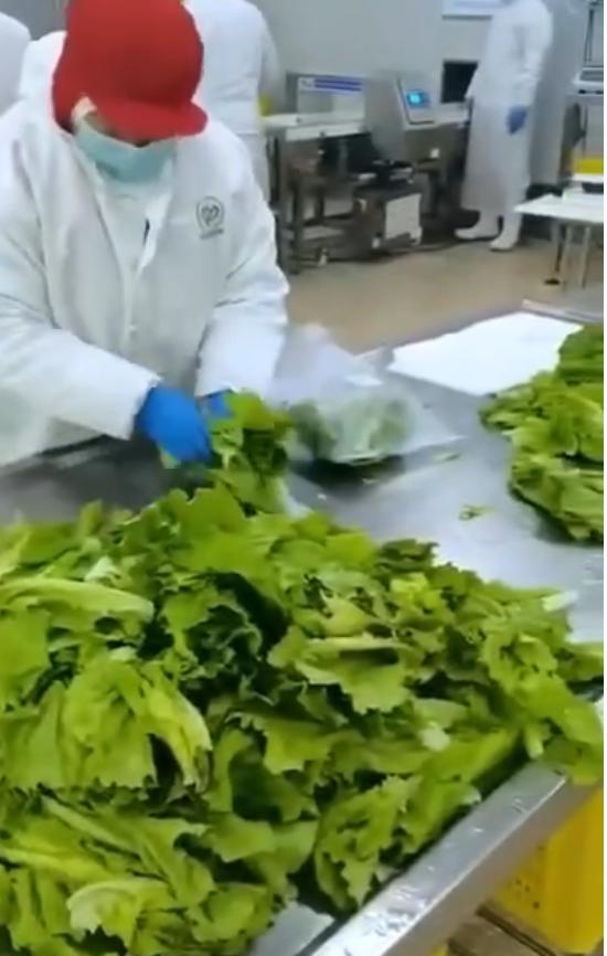 南通60岁大龄工包吃包住解决各种疑难杂症岗位图片 6