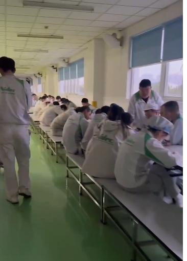 嘉兴平湖电产日结工岗位图片