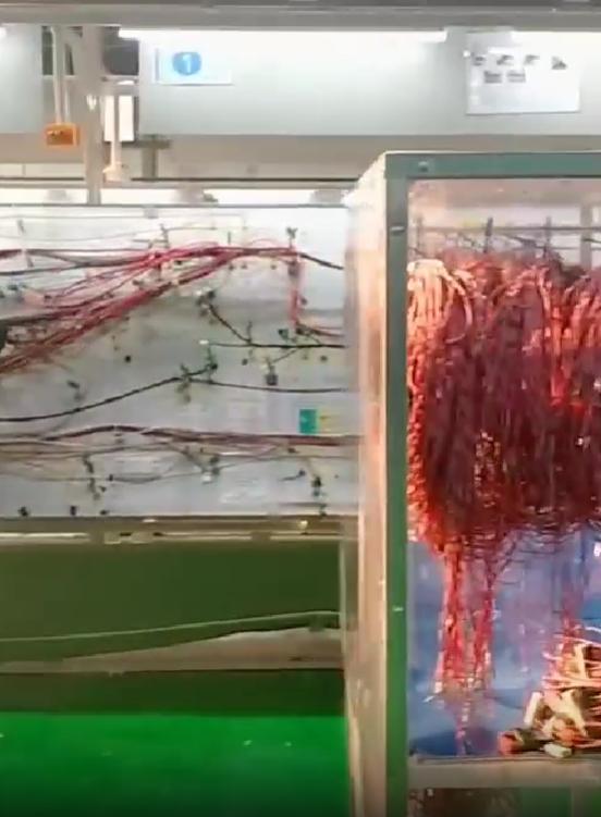 鹤壁线束厂日结工岗位图片 4