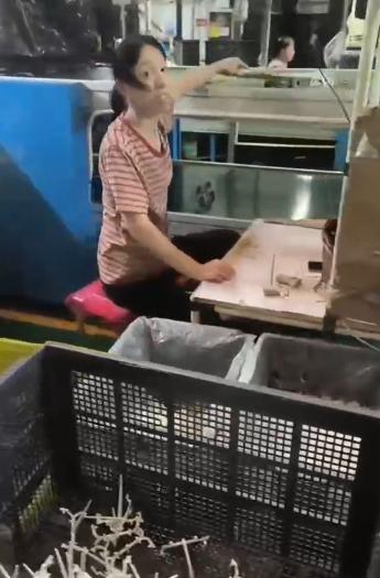宁波小电器大龄工岗位图片