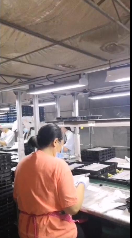 昆山陆新包吃包住小时工岗位图片