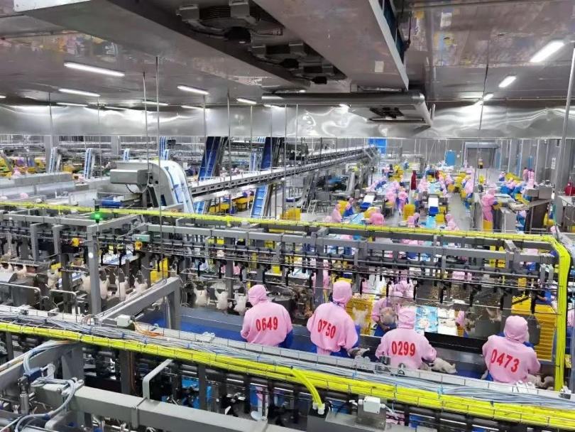 福建圣农汉堡食品厂长白班岗位图片