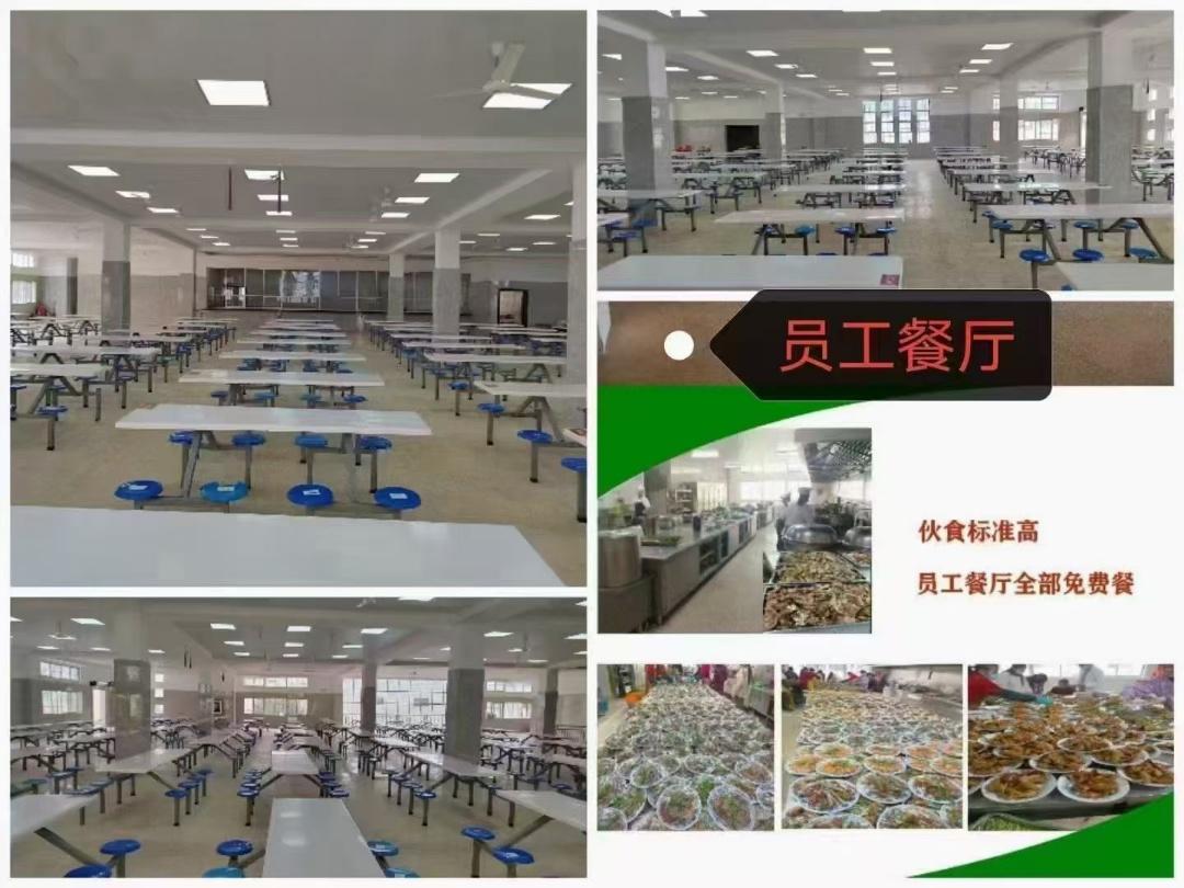 福建圣农汉堡食品厂长白班岗位图片 4