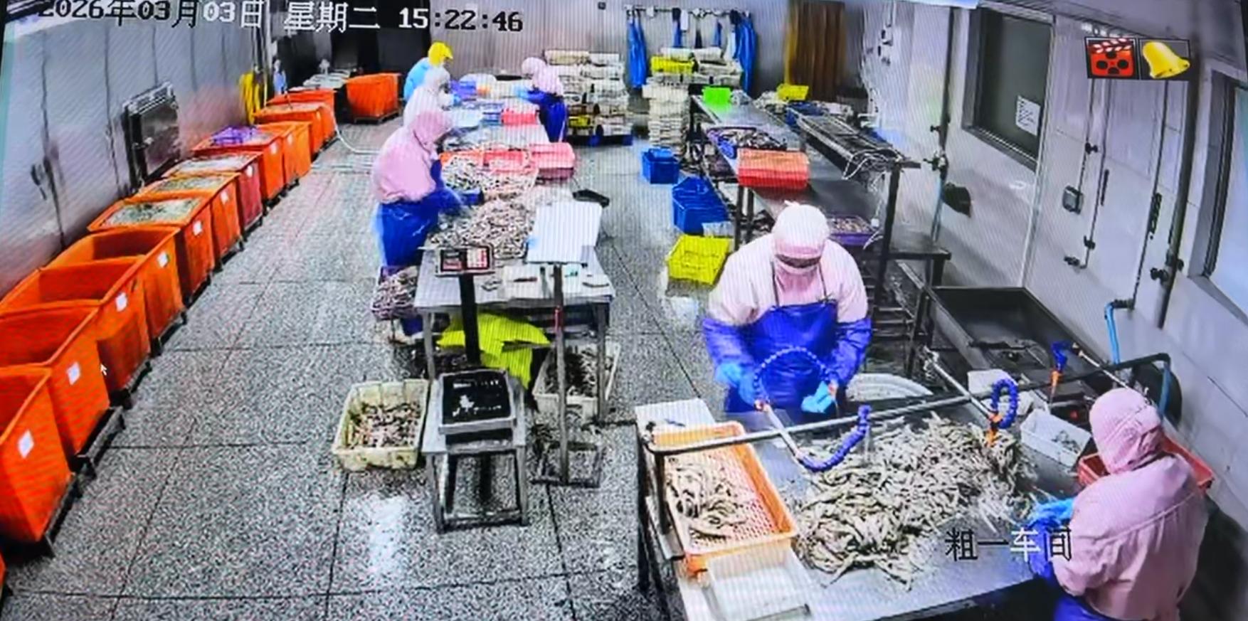 舟山食品厂55岁长白班包吃住岗位图片