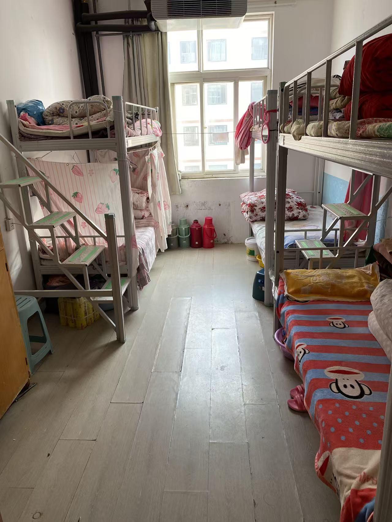 日照长白班57岁包吃包住岗位图片
