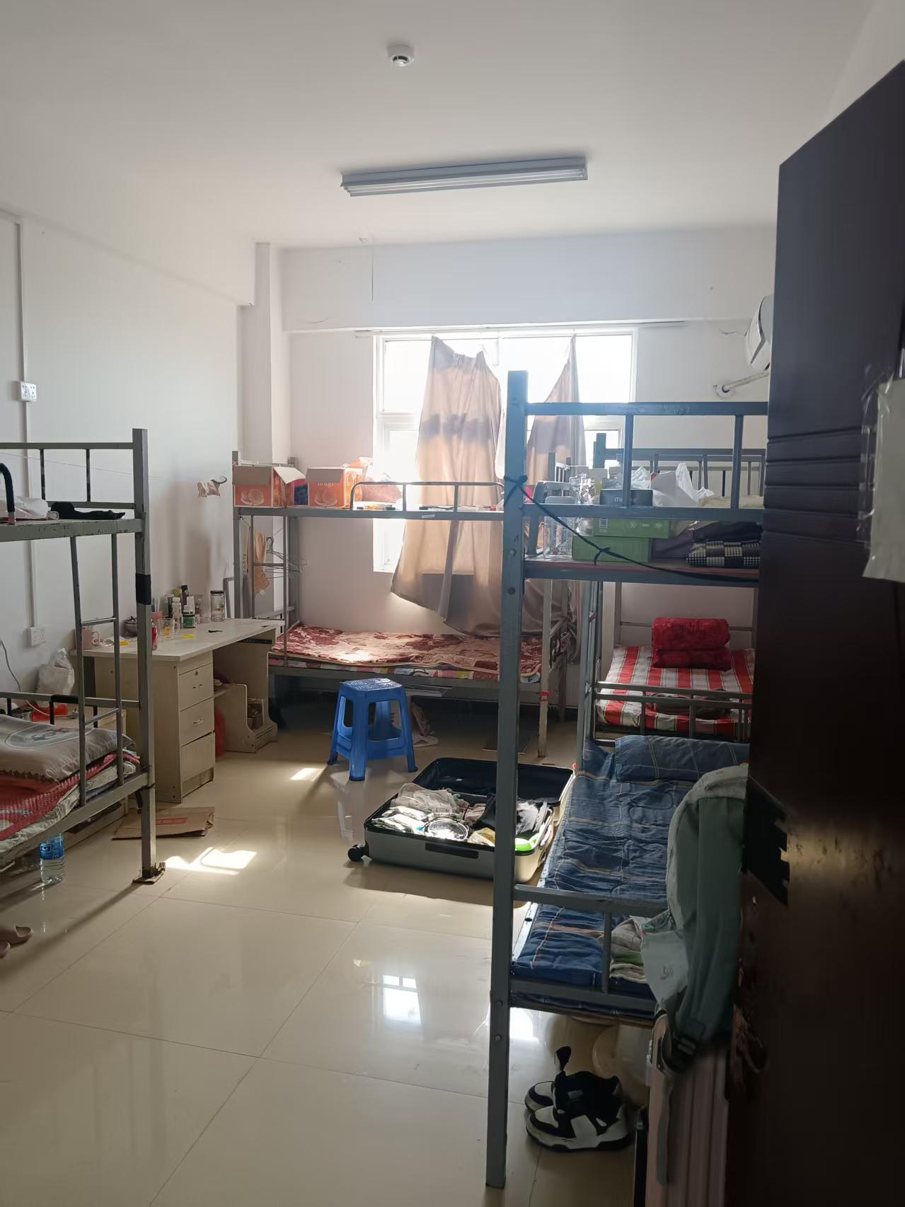 鹤壁长白班大龄工岗位图片 7