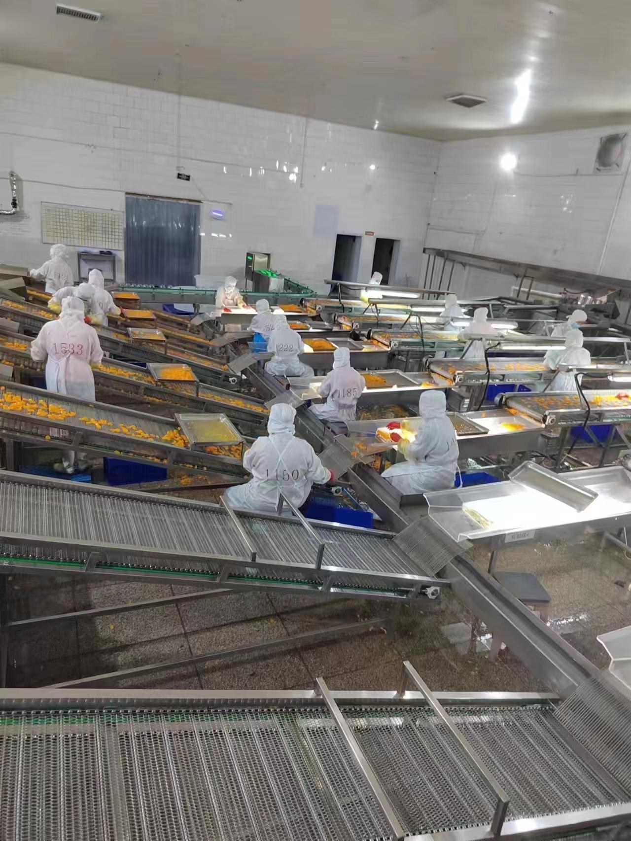 徐州水果学生工人走帐清岗位图片 3