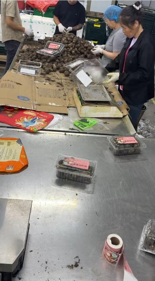 昆山蔬菜打包员日结工岗位图片