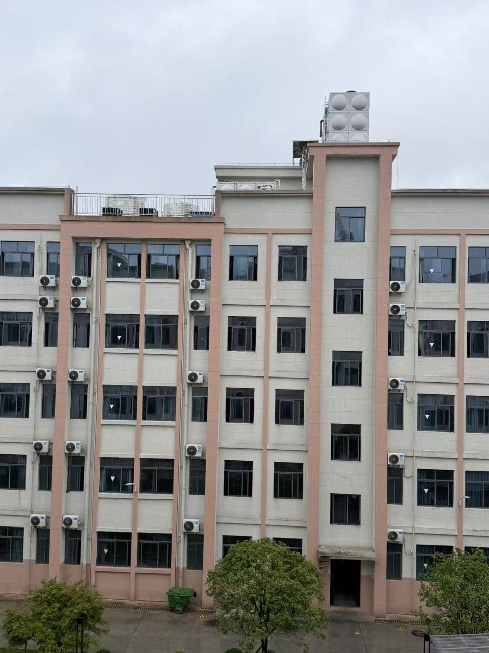 永州槟榔厂包吃住保底5千岗位图片 3