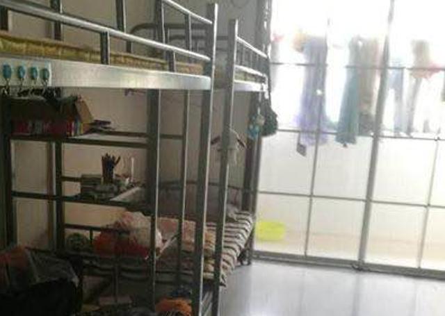 吴江顺达电子正式工岗位图片