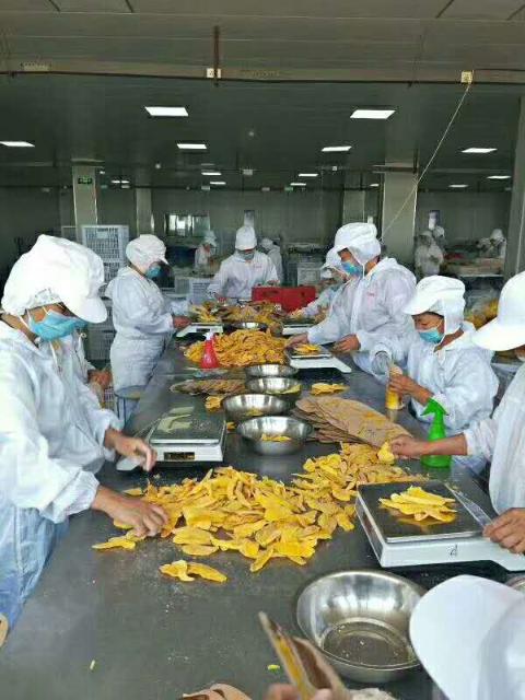 南京含羞草长白班大龄工岗位图片
