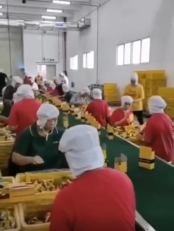 芜湖三只松鼠包吃短期工岗位图片