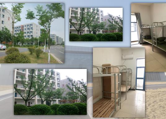 南京康师傅小时工A岗位图片 3