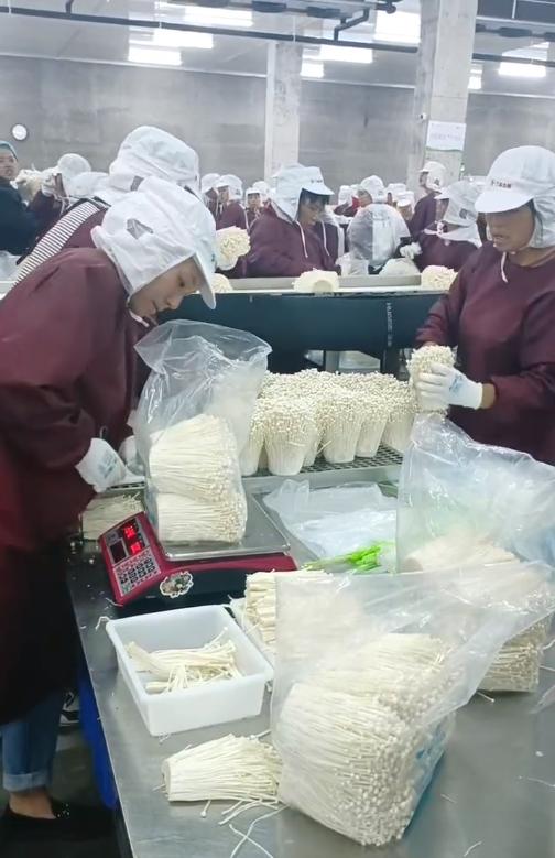 福建食品厂小时工岗位图片 3
