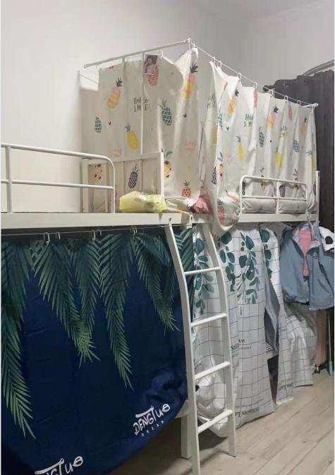 上海天马微小时工C岗位图片