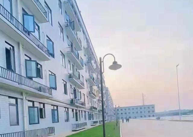 成都发车黄花/榔梨蓝思A岗位图片