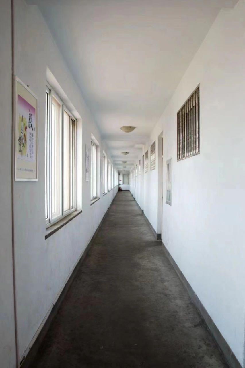 青岛线束厂小时工岗位图片 4