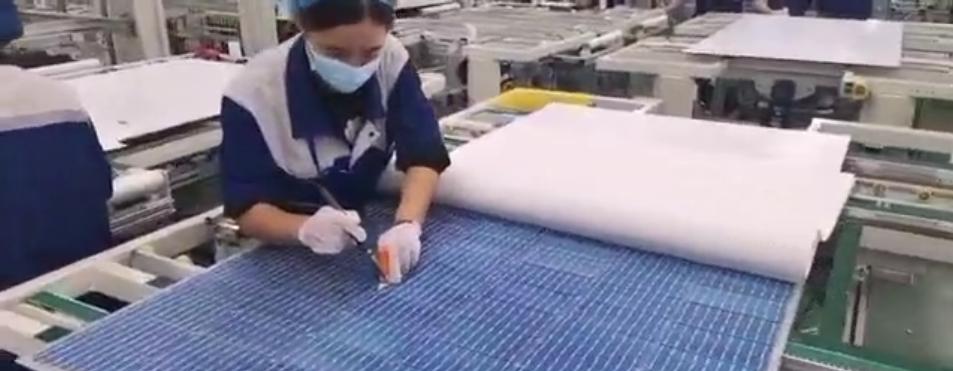 扬州晶澳日结工岗位图片 2