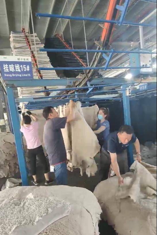 焦作隆丰皮革厂小时工A岗位图片 2