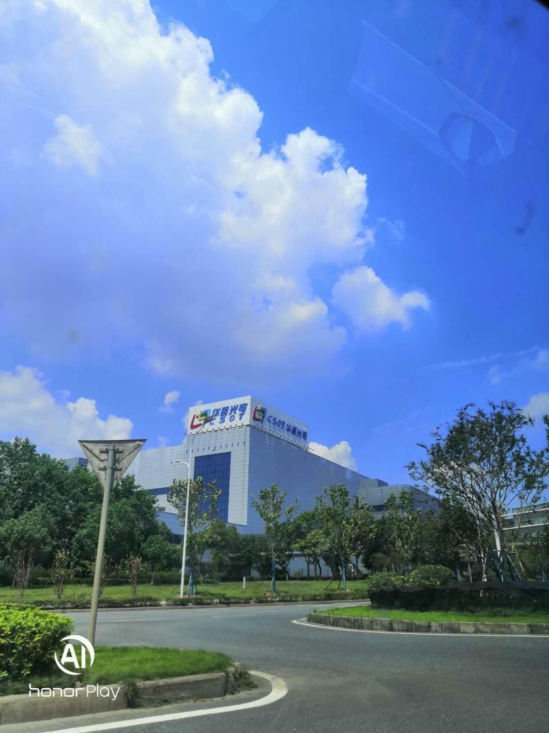 武汉华星光电技术有限公司