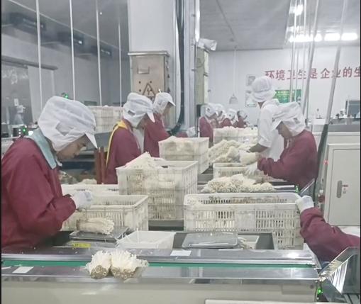 福建食品厂小时工岗位图片 2