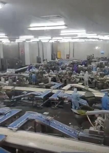 天津三全食品日结工岗位图片 2