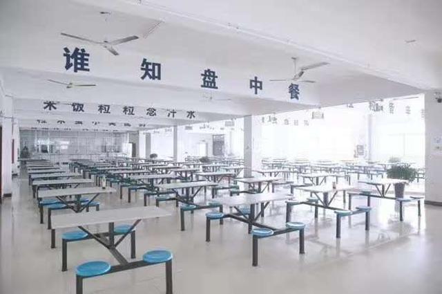 南通梦百合枕头厂55岁岗位图片 2
